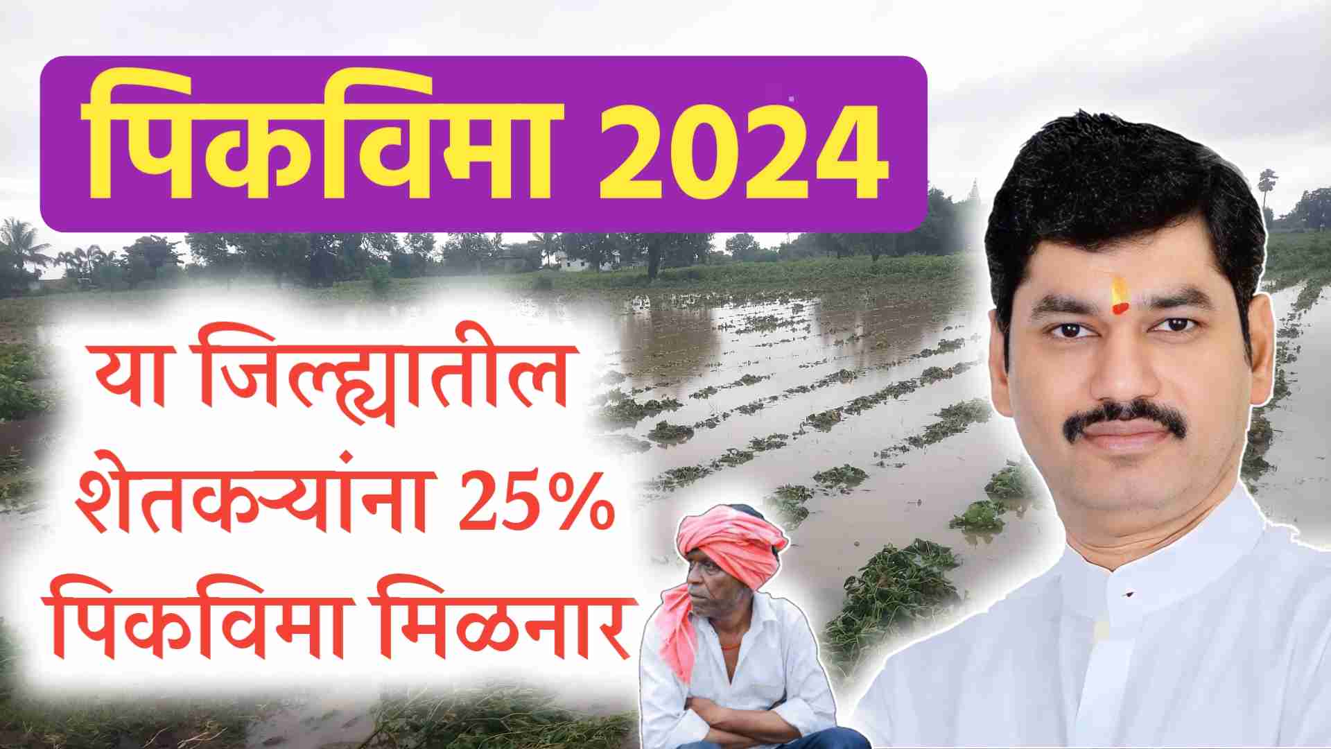 पीक विमा 2024